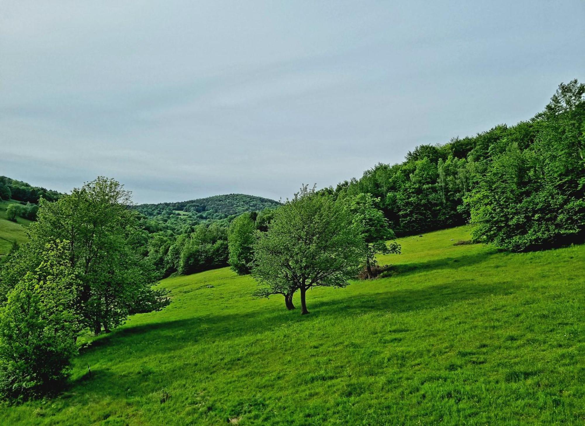 Holiday home Tu W Dolinie